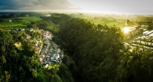 1. Viceroy Bali