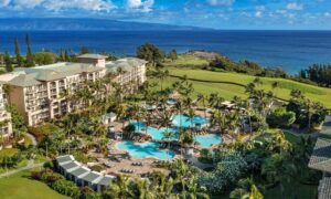 1. The Ritz-Carlton Maui, Kapalua
