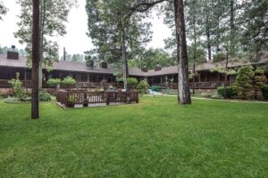 3. Shadow Mountain Lodge and Cabins