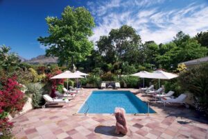 7. Last Word Constantia