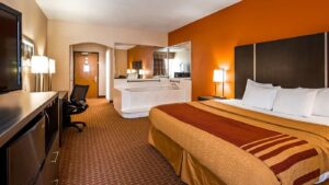 2. Best Western Plus North Houston Inn & Suites