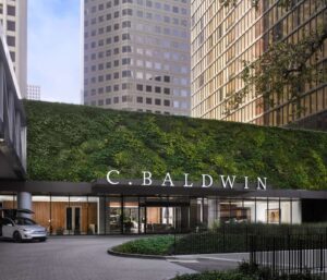 4. C. Baldwin, Curio Collection by Hilton