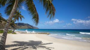 best resorts in St Croix Virgin Islands