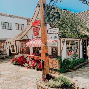 Best-Small-Towns-in-California-to-Raise-a-Family-Carmel-by-the-Sea